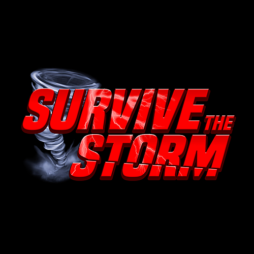 Survive The Storm poster